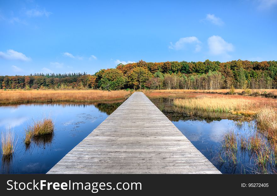 Scenic view of long wooden jetty over lake in countryside with forest in background. Scenic view of long wooden jetty over lake in countryside with forest in background.