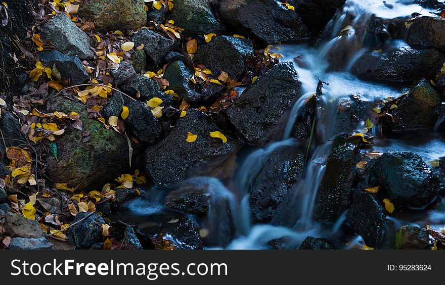 Water, Nature, Rock, Stream