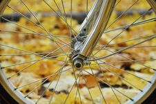 Bicycle Wheel Royalty Free Stock Images Bicycle Wheel Royalty Free Stock Images