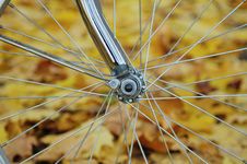 Bicycle Wheel Royalty Free Stock Photos Bicycle Wheel Royalty Free Stock Photos