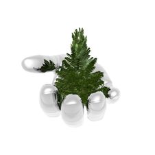 Bare Christmas Tree Ready To Decorate Stock Image Bare Christmas Tree Ready To Decorate Stock Image