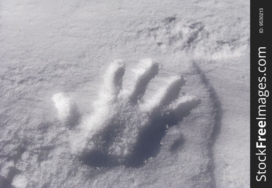 A funny impression in the snow