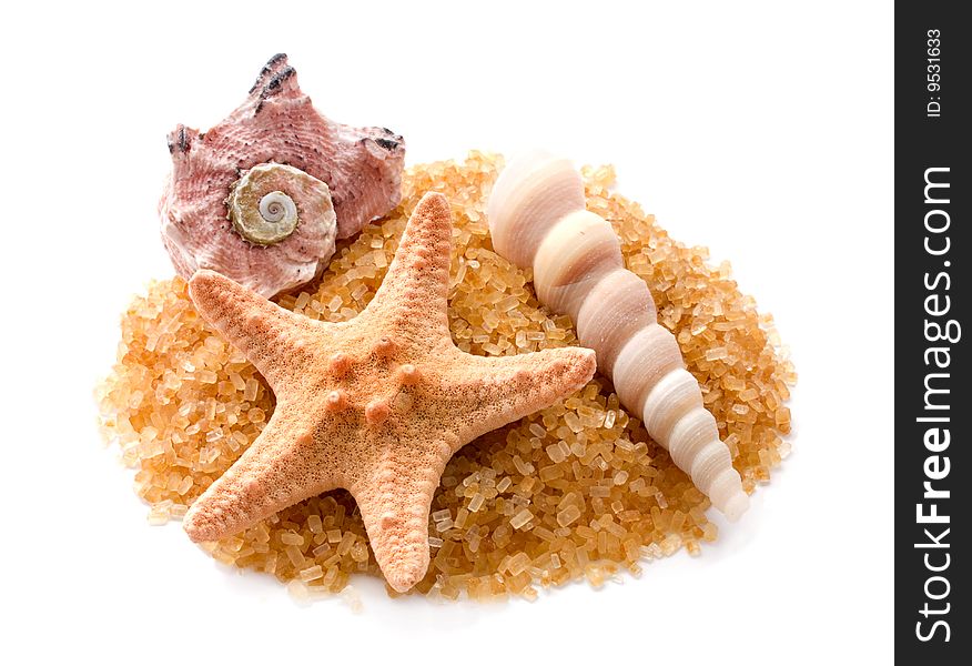 Starfish and seashells on golden background