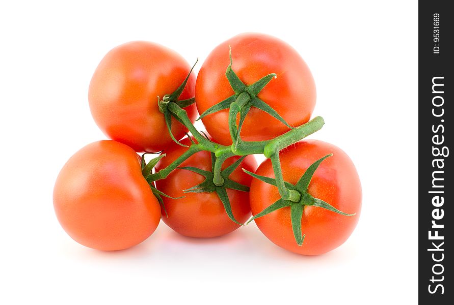 Cluster of five tomatoes on white background