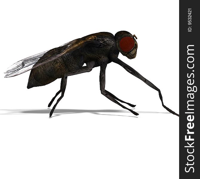 Rendering of a fly with Clipping Path and shadow over white