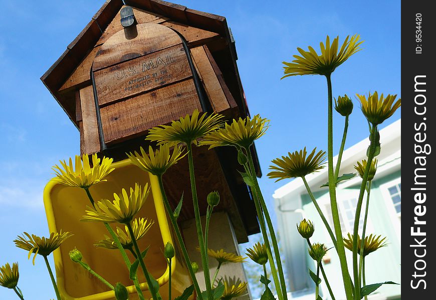 A mailbox with yellow daisies looking up toward the sky. A mailbox with yellow daisies looking up toward the sky