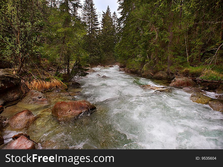 Mountain creek with red stones and green trees