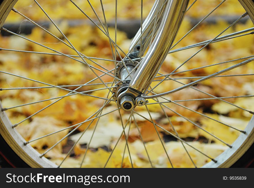 Bicycle wheel close up, on a background autumn leaves