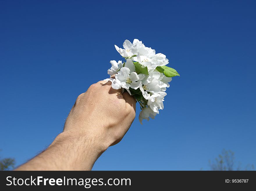 Flowers In A Hand