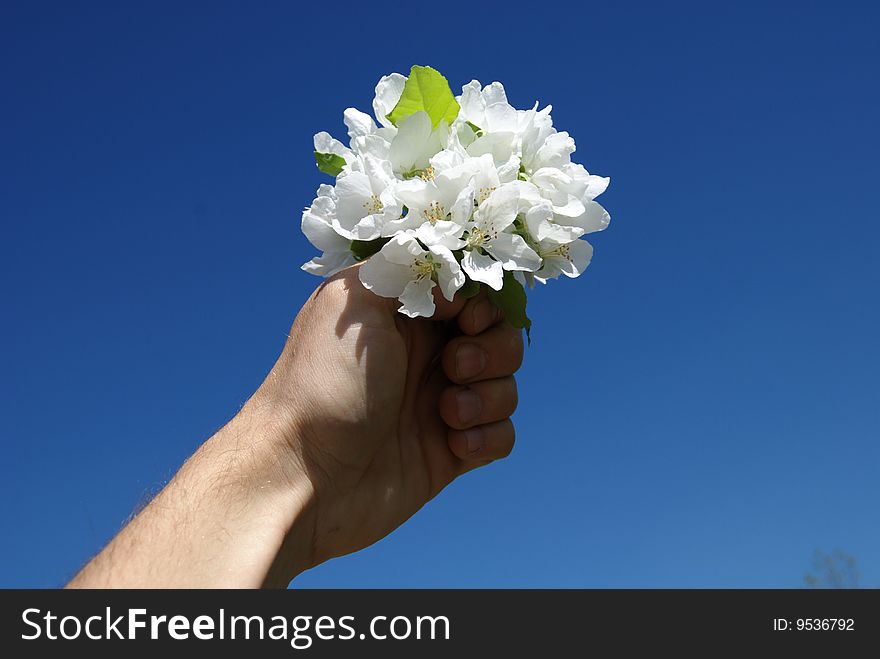 Flowers In A Hand