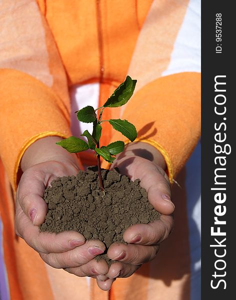 Hands +plant