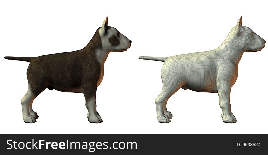 Bull terrior dog 3d model isolated on white