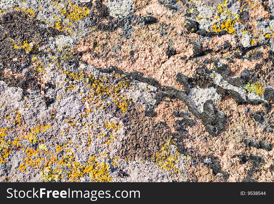 Moss and lichen on granite stone