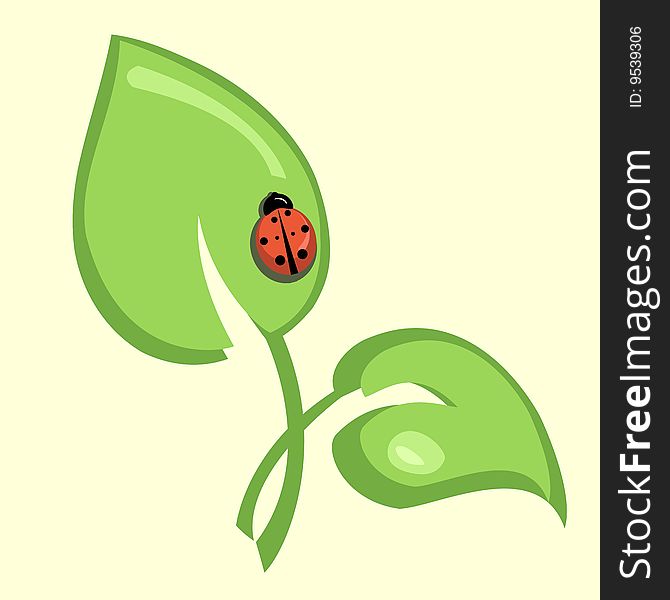 Vector illustration of ladybug sitting on the green leaf. Vector illustration of ladybug sitting on the green leaf