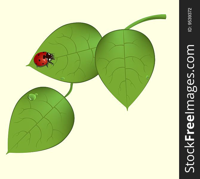Vector illustration of  funky ladybug sitting on the green leaves