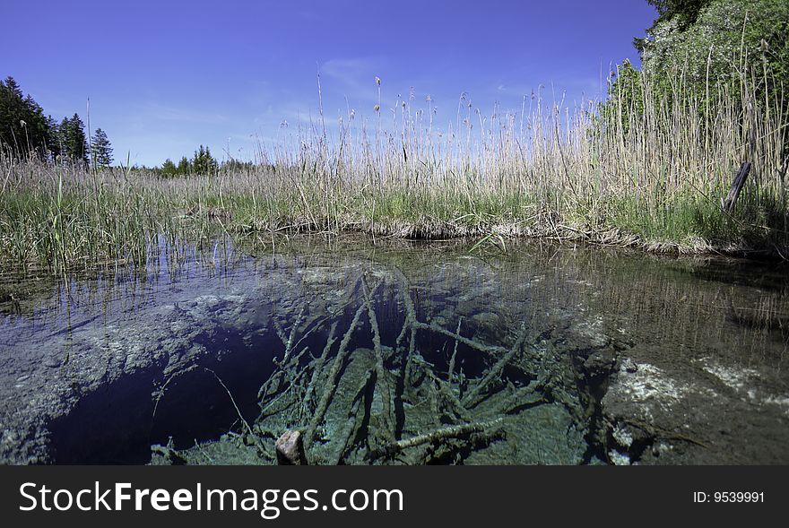 Beautiful crystal clear  turquoise natural lake with a hole in the ground and weed around. Beautiful crystal clear  turquoise natural lake with a hole in the ground and weed around