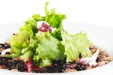 Breast Of Duck Salad Royalty Free Stock Photo