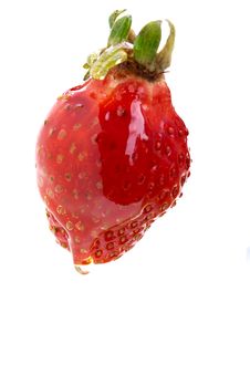 Strawberry With Crust Of Honey And Chocolate -isol Stock Images Strawberry With Crust Of Honey And Chocolate -isol Stock Images