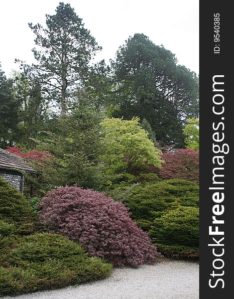 Colourful trees in corner of formal garden with copy space. Colourful trees in corner of formal garden with copy space