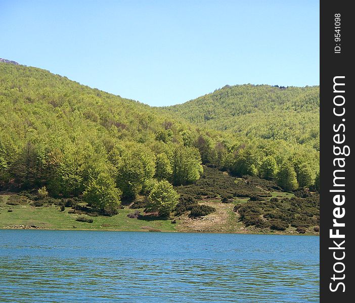 Trees in the lake of lagastrello