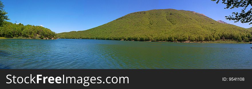 Trees in the lake of lagastrello