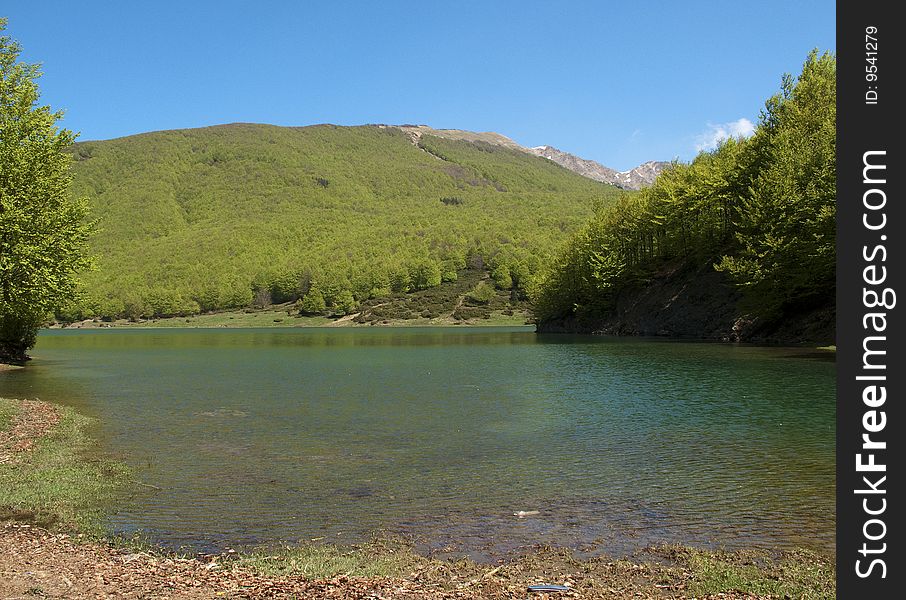 Trees in the lake of lagastrello