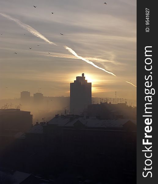 Sunrise in foggy winter morning with birds in flight. Sunrise in foggy winter morning with birds in flight.