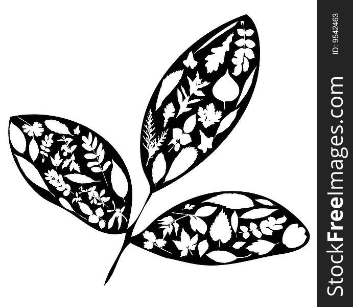 Vector set of white leaves shapes forming three big black leaves isolated. Vector set of white leaves shapes forming three big black leaves isolated