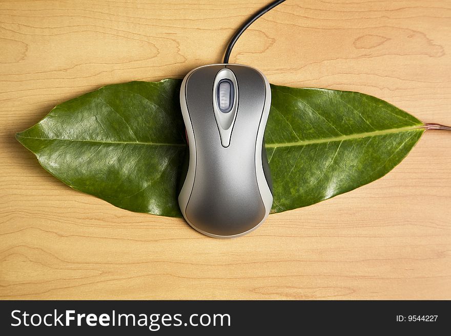 Metallic color computer mouse placed on a large green leaf. Metallic color computer mouse placed on a large green leaf.