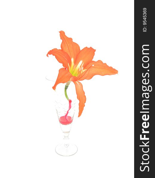 The Flower in tall wine glass on white background. The Flower in tall wine glass on white background.