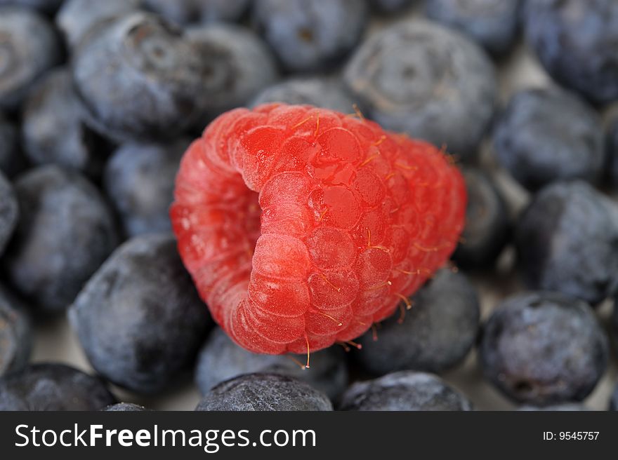 Juicy and fresh raspberry on many blueberries