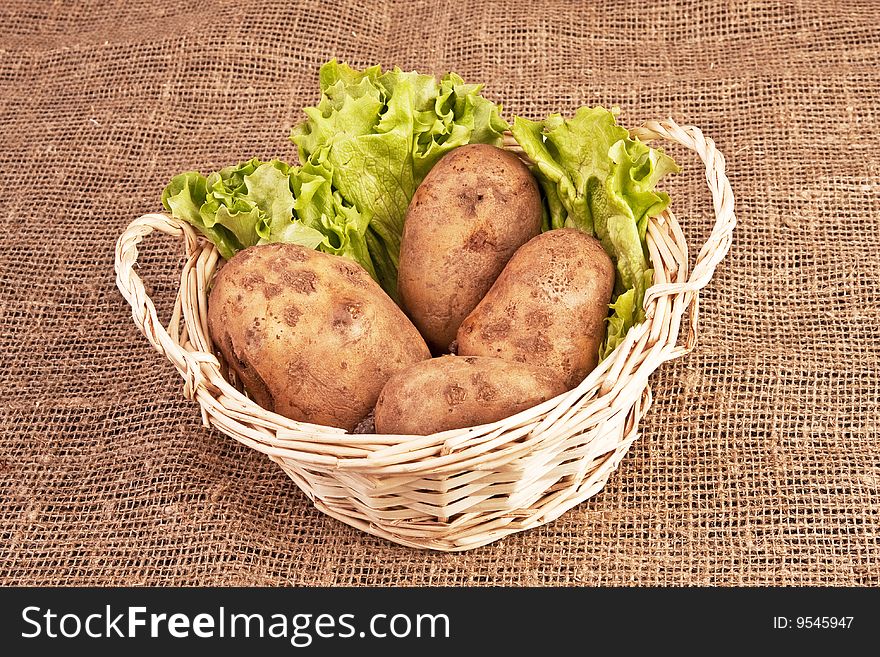 Four raw potatoes and lettuce in basket on rough linen fabric. Four raw potatoes and lettuce in basket on rough linen fabric.