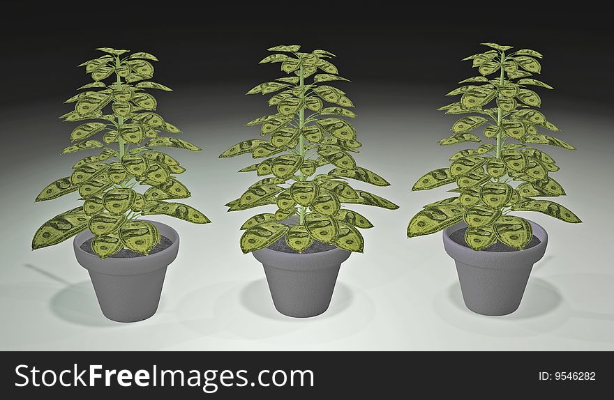 Money Grows On Trees