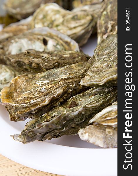 Atlantic oysters on a dish at the food market