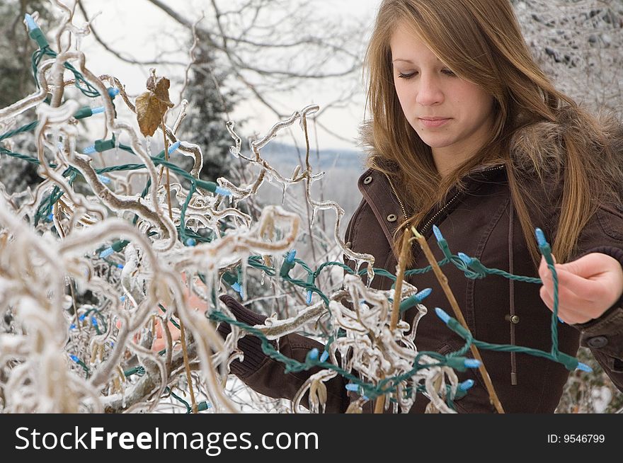 Teenage girl hangs christmas lights on an ice covered bush in New England. Teenage girl hangs christmas lights on an ice covered bush in New England