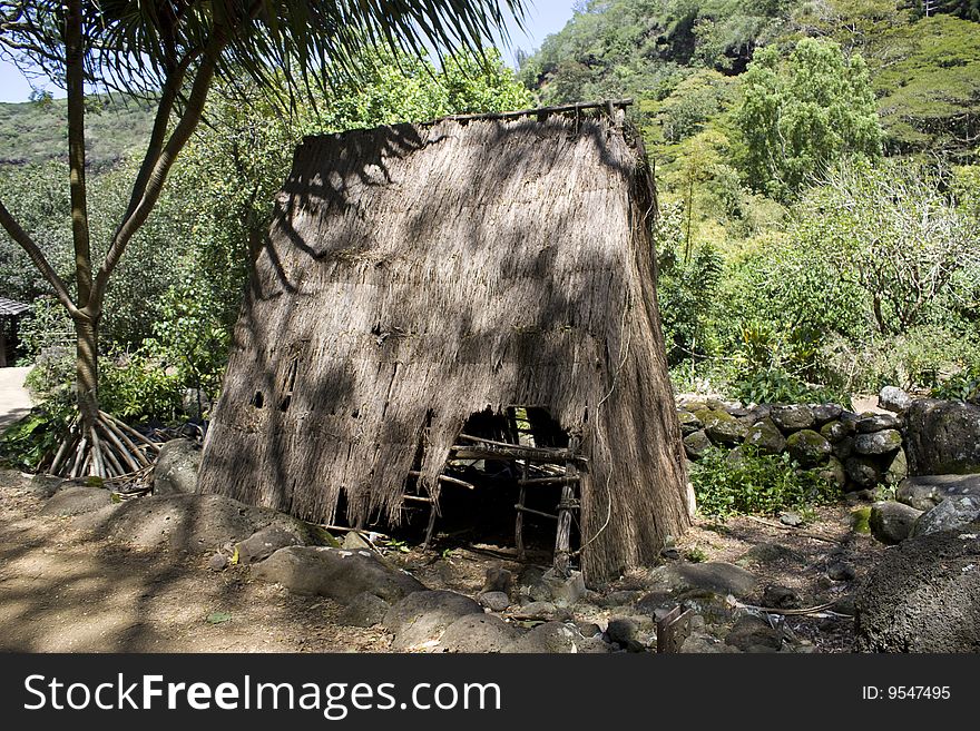 Typical Peasant Polynesian Hut in Honolulu used hundreds years ago