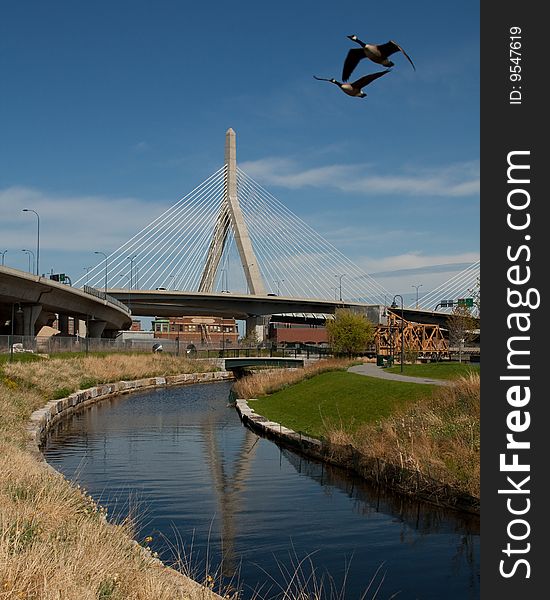 Two geese flying in front of the Zakim Bridge in Boston, from the North Point Park.