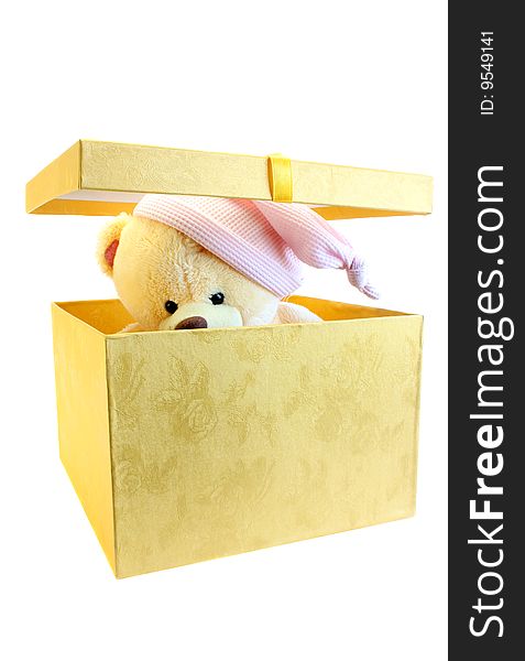 The bear looks out of a box on a white background, is isolated. The bear looks out of a box on a white background, is isolated.