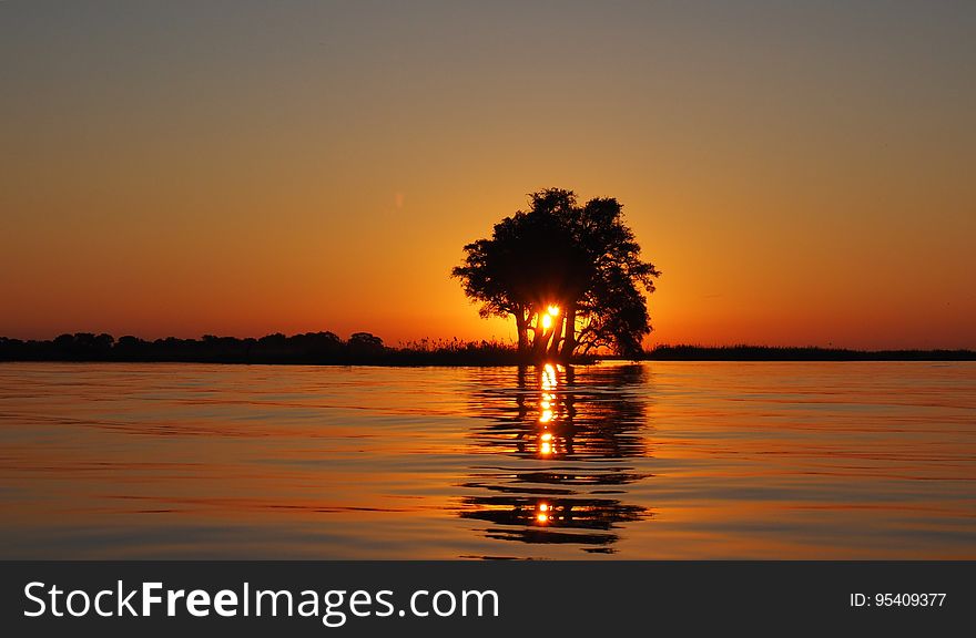 Calm Water Surface Overlooking Sun Setting on the Horizon Blocked by the Silhouette of Tree