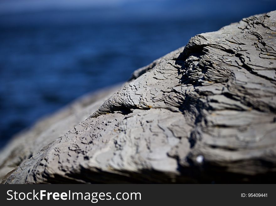 A close up of a rock on the seacoast. A close up of a rock on the seacoast.