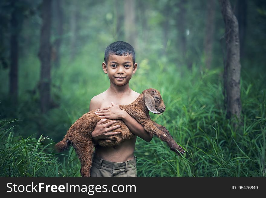 An Asian boy carrying a lamb in the forest. An Asian boy carrying a lamb in the forest.
