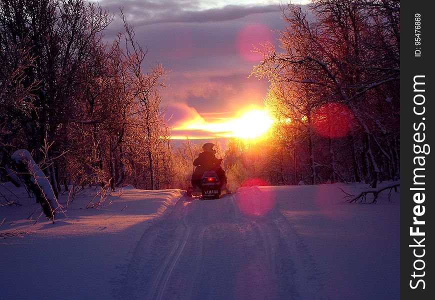 Snowmobile on snowy track through woods at sunset. Snowmobile on snowy track through woods at sunset.