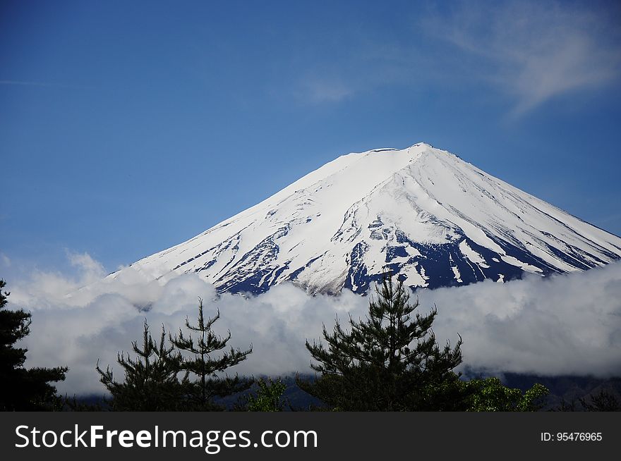 The summit of the Mount Fuji seen from a forest in Japan.
