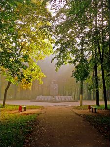 Morning Foggy Stock Images Morning Foggy Stock Images