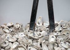 Oyster Tongs Royalty Free Stock Photography Oyster Tongs Royalty Free Stock Photography