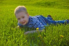 Boy Lies On A Grass Royalty Free Stock Images Boy Lies On A Grass Royalty Free Stock Images