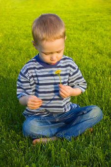 Boy Sits On Grass Royalty Free Stock Photos Boy Sits On Grass Royalty Free Stock Photos
