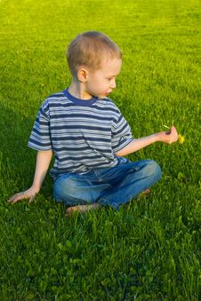 Boy Sits On Grass Stock Photos Boy Sits On Grass Stock Photos