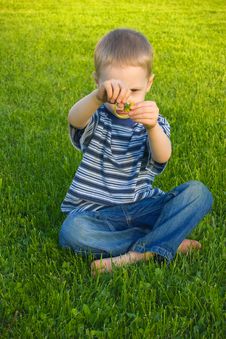 Boy With Dandelion Stock Images