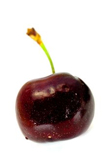 Ripe, Juicy Cherries,isolated On White Background Royalty Free Stock Photo Ripe, Juicy Cherries,isolated On White Background Royalty Free Stock Photo